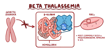 بتا تالاسمی, ارث بردن بتا تالاسمی, انواع بتا تالاسمی
