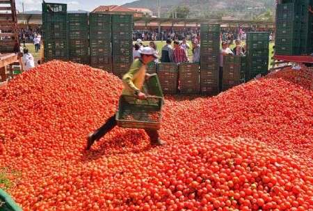 فستیوال توماتینا در اسپانیاتاریخچه پیدایش فستیوال توماتیناتحولات جشنواره توماتیناداستان‌های دیگر درباره پیدایش توماتینااصلاحات در طول تاریخ فستیوال توماتیناتغییرات و تحولات فستیوال توماتیناپایان جنگ گوجه‌فرنگیافزودنی‌های جدید به فستیوال توماتیناقوانین جشنواره توماتینانکاتی برای تجربه بهتر جشنواره توماتیناسخن آخر: